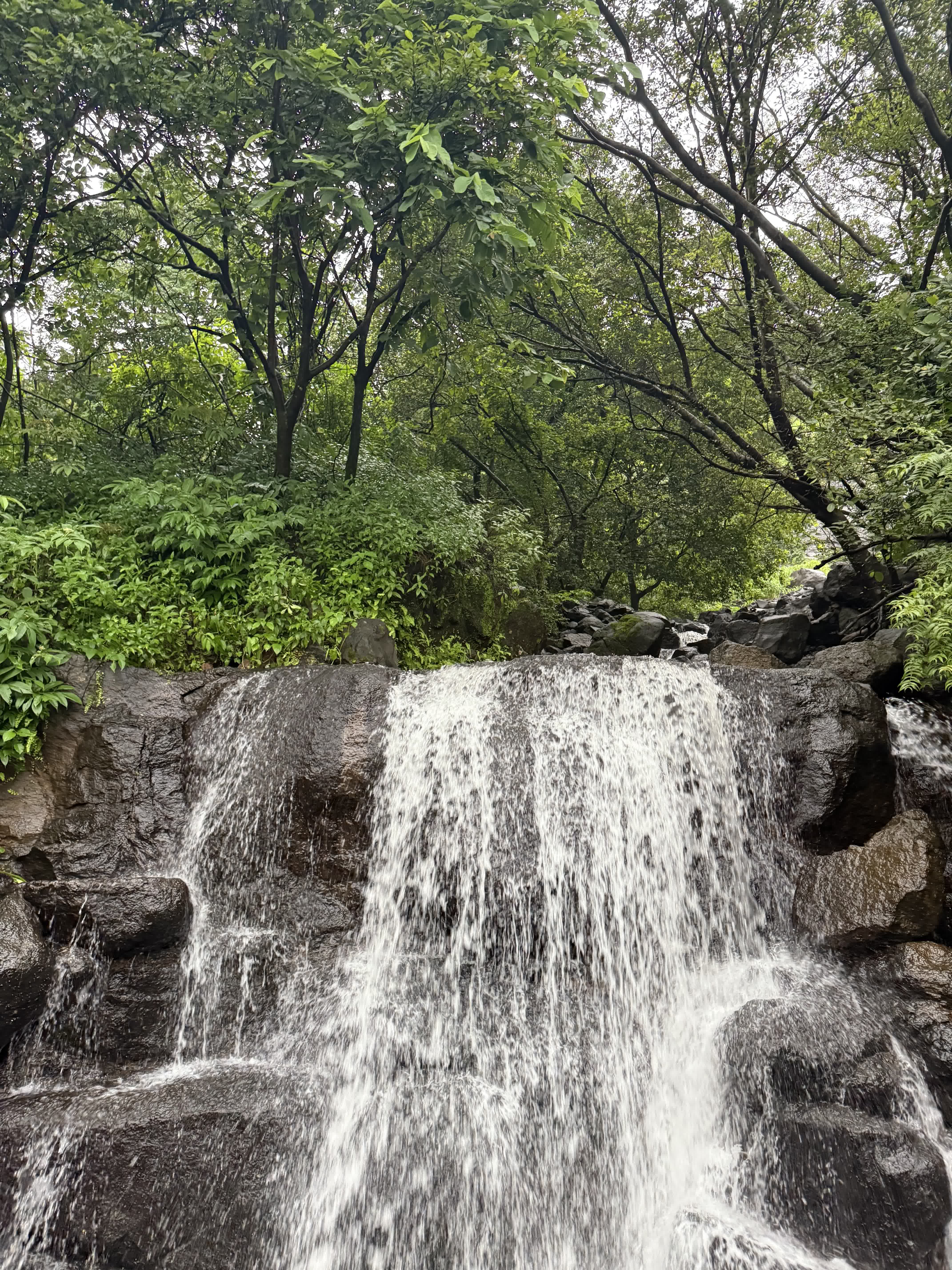A waterfall tumbling over dark rock into monsoon greenery